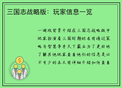 三国志战略版：玩家信息一览